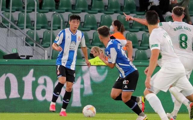 免费久草在线